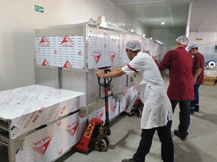 中國制造：讓挑剔的中東客戶交口稱贊！